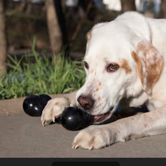 NIP KONG Extreme Black Goodie Bone Dog Toy Large - Picture 2 of 4